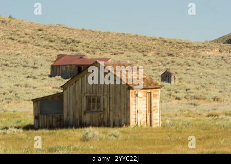 Una piccola, vecchia casa di legno si trova in un campo. La casa è circondata da alcuni altri edifici, e il cielo è limpido e blu. La scena ha una pace, Foto Stock