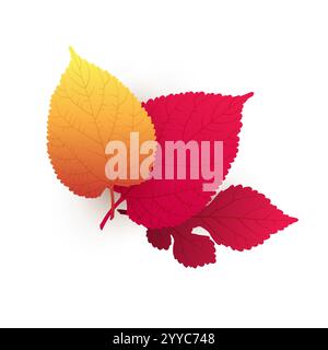 Tre foglie d'albero cadute rosse, marroni e d'autunno d'oro su sfondo bianco - modello di disegno isolato in formato vettoriale modificabile Illustrazione Vettoriale