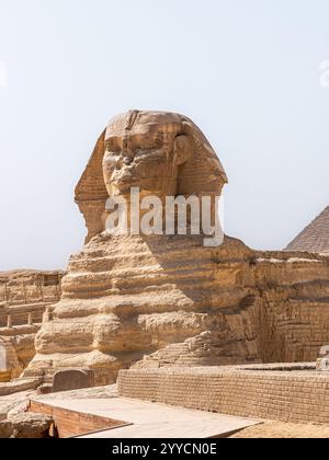 La grande Sphynx di Giza in un pomeriggio di sole - Ritratto Foto Stock