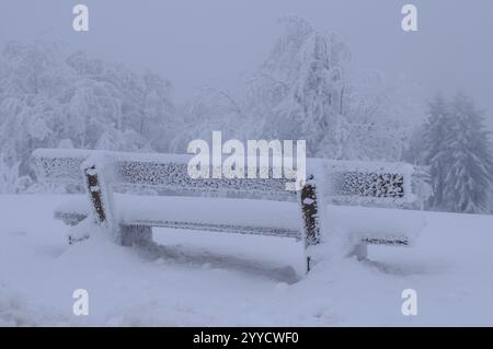 Panchina ricoperta di neve in un paesaggio innevato, alberi sullo sfondo, Gaisberg, Salisburgo Foto Stock