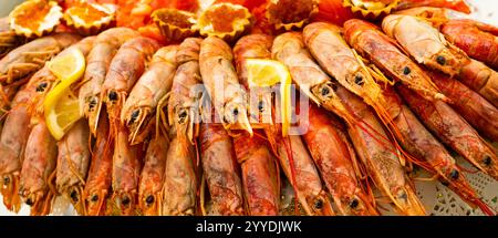Un piatto di pesce colorato presenta una vasta gamma di grandi gamberi e crostacei cotti, splendidamente disposti e decorati con fette di limone per una tenttina Foto Stock