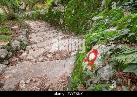 Il segno rosso e bianco del sentiero guida gli escursionisti su antichi gradini di pietra, circondati da muschio e felci verdi vibranti, promettenti avventure nella natura Foto Stock