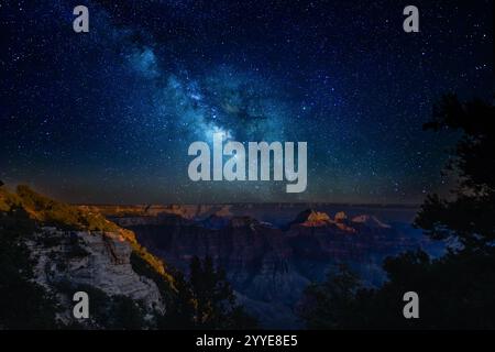 La via Lattea sorge sul Grand Canyon, sul versante nord, in una notte limpida e senza luna. Foto Stock