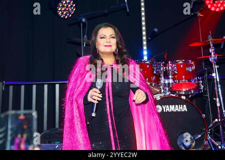 Marianne Rosenberg bei Frank Zanders 30. Weihnachtsfeier für Obdachlose 2024 m Estrel Convention Center. *** Marianne Rosenberg alla festa di Natale di Frank Zanders 30 per i senzatetto 2024 presso l'Estrel Convention Center Foto Stock