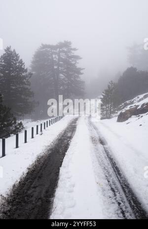 La strada di montagna ricoperta di neve scompare in una fitta nebbia durante una fredda giornata invernale, creando un'atmosfera misteriosa e serena Foto Stock