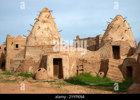 REGIONE DI ASTRAKHAN, RUSSIA - 7 MAGGIO 2024: Edifici residenziali a Sarai Batu, la capitale dell'Orda d'Oro (decorazione cinematografica). Regione di Astrakhan Foto Stock