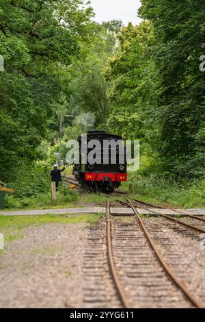 Motore a vapore d'epoca in retromarcia Foto Stock