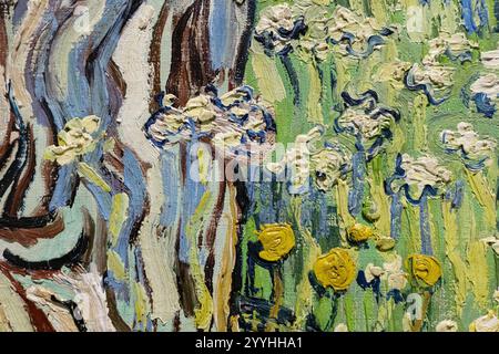 Primo piano dai tronchi di Van Gogh in The Grass 1890; per mostrare tratti di pennello, tecnica e stile di pittura di Vincent Van Gogh Foto Stock