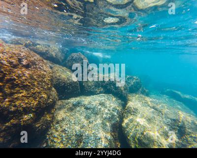 La luce del sole filtra attraverso l'acqua, illuminando una scena subacquea rocciosa piena di grandi massi ricoperti di alghe e alghe marine. Foto Stock