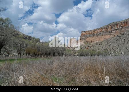 La valle di Ihlara è un canyon nel sud-ovest della regione turca della Cappadocia. Ci sono molte antiche chiese cristiane nella valle. Foto Stock