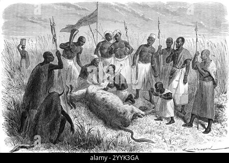 Stregoni tra cui African Dwarf o Midget Performing Magic Ritual, incluso Animal Sacrifice, per l'Entourage di re Omukama Kamurasi Kyebambi IV (c1822-1869 regnante 185261869) del Regno Bantu di Bunyoro o Bunyoro-Kitara, Uganda occidentale Africa. Incisione vintage o storica o illustrazione 1864 Foto Stock