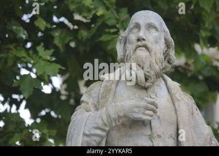 Monumento a Michel de Nostradamus, scultura, pietra, dettaglio, testa, Salon-de-Provence, Bouches-du-Rhone, Provenza, Francia, Europa Foto Stock