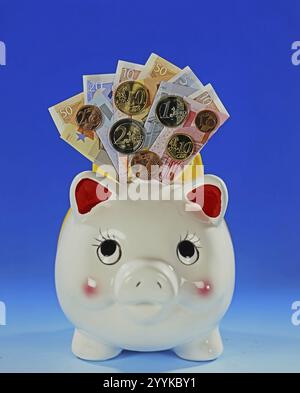 Un salvadanaio con banconote e monete, risparmi, provviste di vecchiaia, foto di Nest egg Studio, bassa Sassonia, Repubblica Federale di Germania Foto Stock