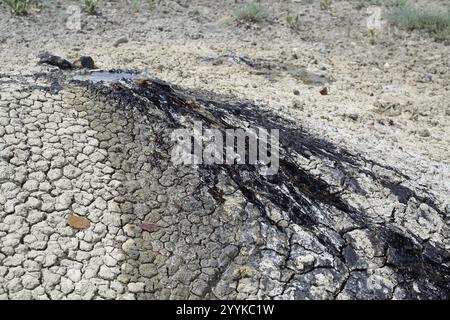 Vulcani di fango, vulcano, fango, Georgia, Asia Foto Stock