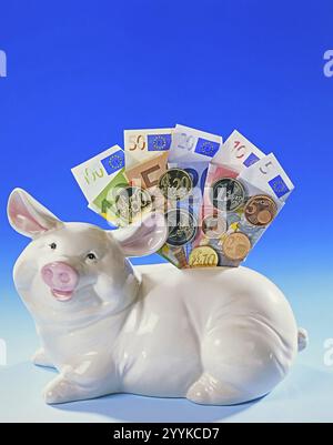 Un salvadanaio con banconote e monete, risparmi, provviste di vecchiaia, foto di Nest egg Studio, bassa Sassonia, Repubblica Federale di Germania Foto Stock