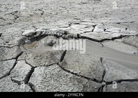 Vulcani di fango, vulcano, fango, Georgia, Asia Foto Stock