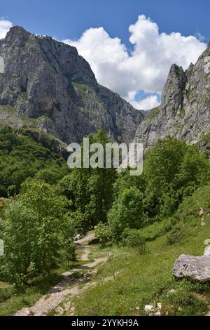 Bulnes, un piccolo vilage nel Picos de Europa, Spagna Foto Stock