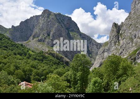 Bulnes, un piccolo vilage nel Picos de Europa, Spagna Foto Stock