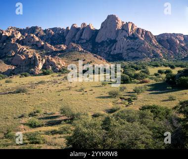 Una vista sul lato occidentale delle Dragoon Mountains nell'Arizona meridionale. Foto Stock