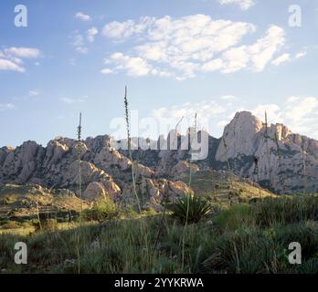 Una vista sul lato occidentale delle Dragoon Mountains nell'Arizona meridionale. Foto Stock