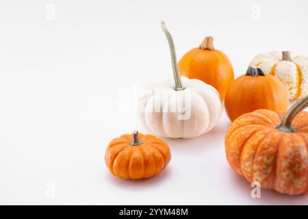 Vista di un gruppo di piccole zucche sul lato destro della cornice, su sfondo bianco. Foto Stock
