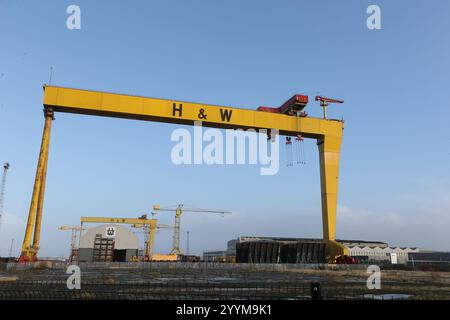 Immagine delle due gru a cavalletto per la costruzione navale situate nei cantieri Harland e Wolff a Queen's Island, Belfast, Irlanda del Nord. Harland e Wolff Foto Stock
