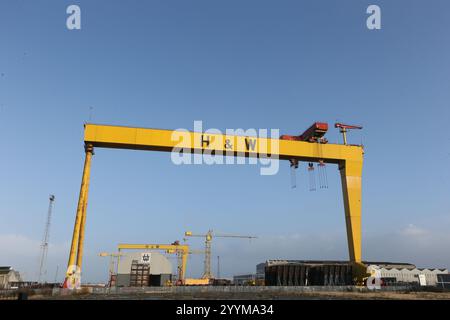 Immagine delle due gru a cavalletto per la costruzione navale situate nei cantieri Harland e Wolff a Queen's Island, Belfast, Irlanda del Nord. Harland e Wolff Foto Stock