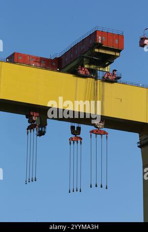 Immagine delle due gru a cavalletto per la costruzione navale situate nei cantieri Harland e Wolff a Queen's Island, Belfast, Irlanda del Nord. Harland e Wolff Foto Stock