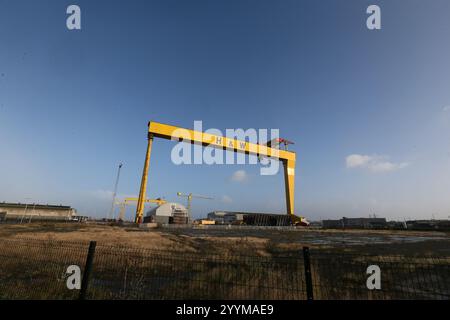 Immagine delle due gru a cavalletto per la costruzione navale situate nei cantieri Harland e Wolff a Queen's Island, Belfast, Irlanda del Nord. Harland e Wolff Foto Stock