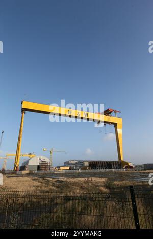 Immagine delle due gru a cavalletto per la costruzione navale situate nei cantieri Harland e Wolff a Queen's Island, Belfast, Irlanda del Nord. Harland e Wolff Foto Stock