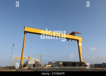 Immagine delle due gru a cavalletto per la costruzione navale situate nei cantieri Harland e Wolff a Queen's Island, Belfast, Irlanda del Nord. Harland e Wolff Foto Stock