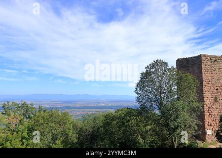 Vista aerea della valle dei frutti dell'Alsazia vicino a Colmar in Francia Foto Stock