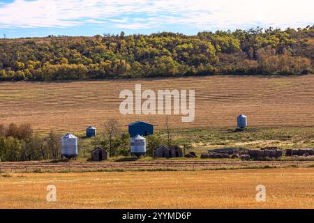 Un campo con molti silos vuoti e pochi edifici. La scena è tranquilla e tranquilla Foto Stock