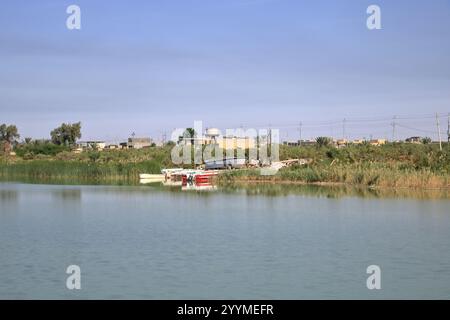 Fiume Tigri alla confluenza tra Eufrate e Tigri, Shatt al-Arab, al-Qurna, Bassora, Iraq Foto Stock