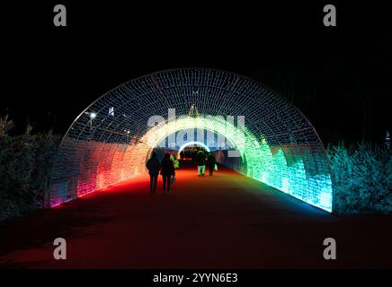 Tunnel di luci colorate arcobaleno con luci a LED con persone che camminano su un tappeto rosso all'interno del tunnel durante una notte invernale buia e fredda con abete innevato Foto Stock