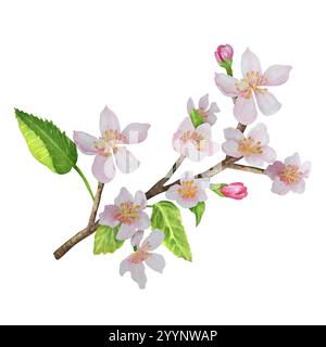Un ramo di melo con delicati fiori bianchi e rosa traslucidi e foglie verdi. Illustrazione ad acquerello disegnata a mano. Ramo dell'albero da frutto Foto Stock