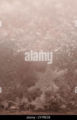 tavolozza pantone. Foto di veri fiocchi di neve durante una nevicata, in condizioni naturali a basse temperature. Immagine macro della neve con cristalli in buono stato Foto Stock