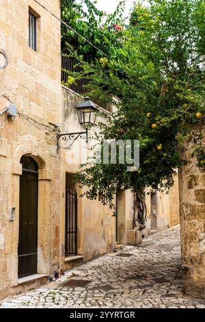 Un pittoresco vicolo con un melograno nel centro storico di Otranto, provincia di Lecce, Salento, Puglia, Italia Foto Stock