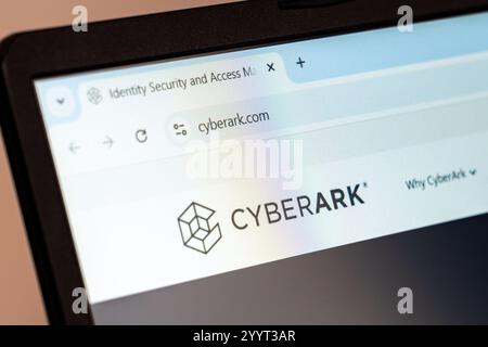 New York, USA - 21 dicembre 2024: Homepage del sito CyberArk visualizzata sullo schermo del laptop con il logo. Azienda di sicurezza informatica che fornisce sicurezza delle identità Foto Stock