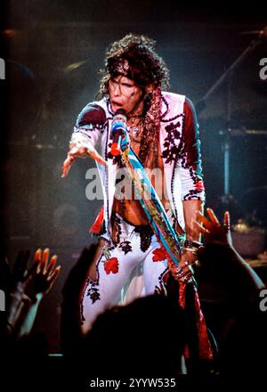 Steven Tyler degli Aerosmith durante il tour Permanent Vacation, che si rivolge ai membri del pubblico in prima fila. Foto Stock