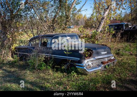 La vecchia Chevvy Biscayne si trova abbandonata e arrugginita in un campo di spazzatura Foto Stock