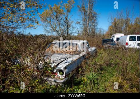 Vecchie auto e furgoni in un deposito bagagli Foto Stock