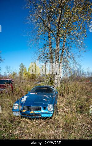 Blue camero abbandonato in un campo Foto Stock