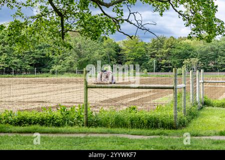 trattore agricolo parcheggiato in un campo appena arato a est di hampton Foto Stock