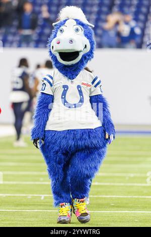 Indianapolis, Indiana, Stati Uniti. 22 dicembre 2024. La mascotte degli Indianapolis Colts Blue dopo una gara contro i Tennessee Titans al Lucas Oil Stadium di Indianapolis, Indiana. John Mersits/CSM/Alamy Live News Foto Stock