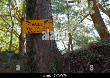 Arancio e sorriso Nero sei sul cartello della fotocamera attaccato ad un albero sulla sinistra. Copertura del terreno, cielo luminoso e altri alberi nel retro in una giornata di sole. Foto Stock