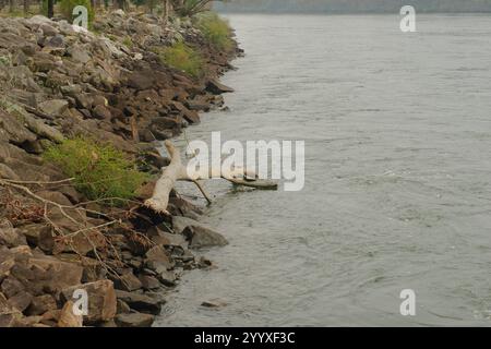 Ampia vista a nord della diga del lago J. Strom Thurmond sul fiume Savannah. Alberi di linee principali. con forca triangolare rotta di ramo d'albero, erba e rocce. Foto Stock