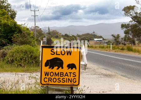 Bicheno, Tasmania - 23 dicembre 2024: Segnale di avvertimento a lato della strada per il vombato comune della Tasmania Vombatus ursinus tasmaniensis adulto e giovane attraversamento Foto Stock