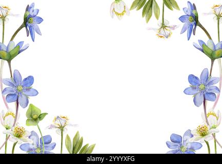 Fiori di ephemera primaverile, sanguinamento di anemone della foresta bianca, hepatica blu Forget-me-not lino, erba, disegnata a mano con acquerello. Cornice bordo Foto Stock