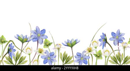 Fiori di ephemera primaverile, sanguinamento di anemone della foresta bianca, hepatica blu Forget-me-not lino, erba, disegnata a mano con acquerello. Banner senza interruzioni Foto Stock